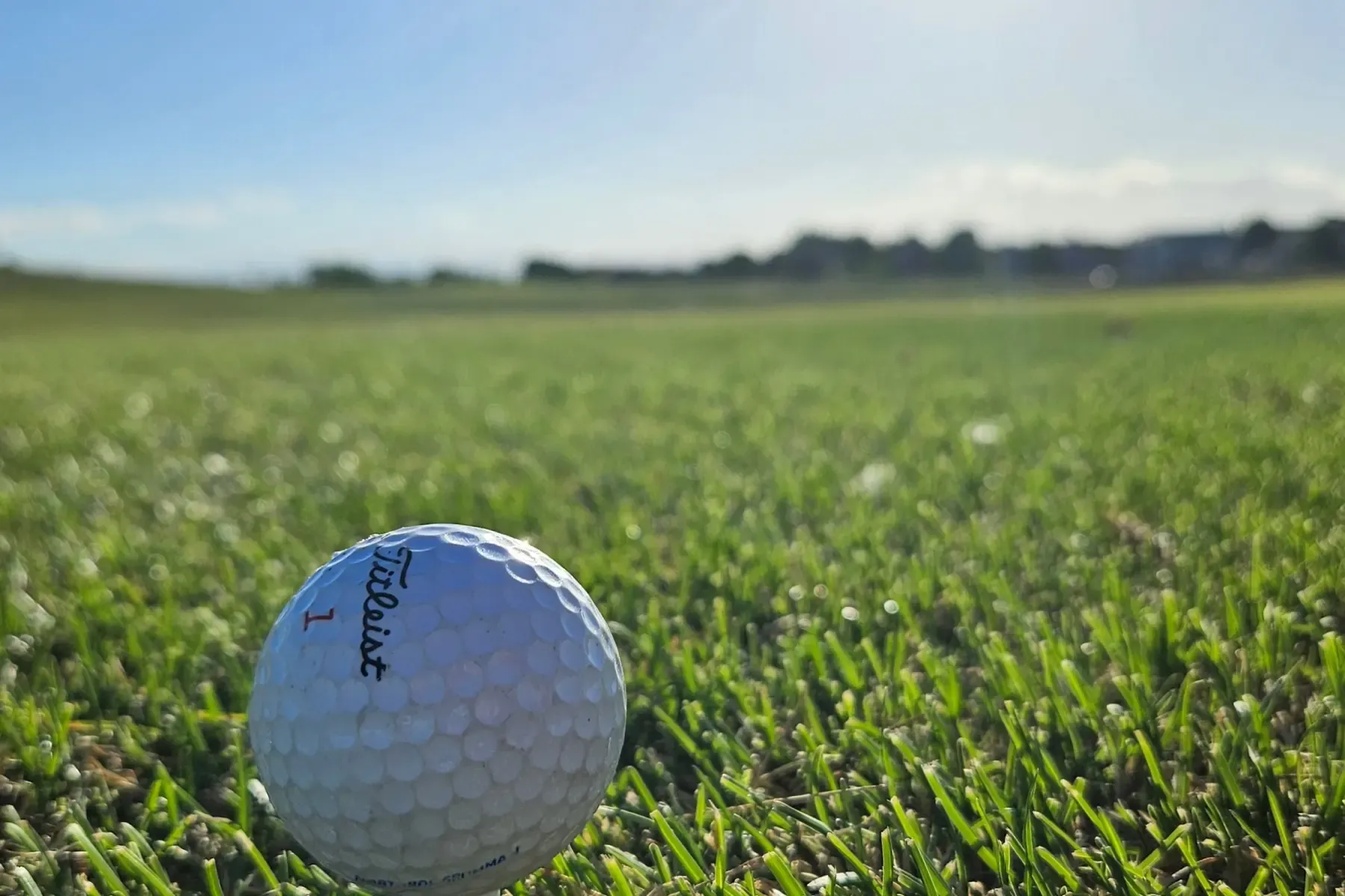 Close-up of a Titleist golf ball resting on green grass under a bright sky.