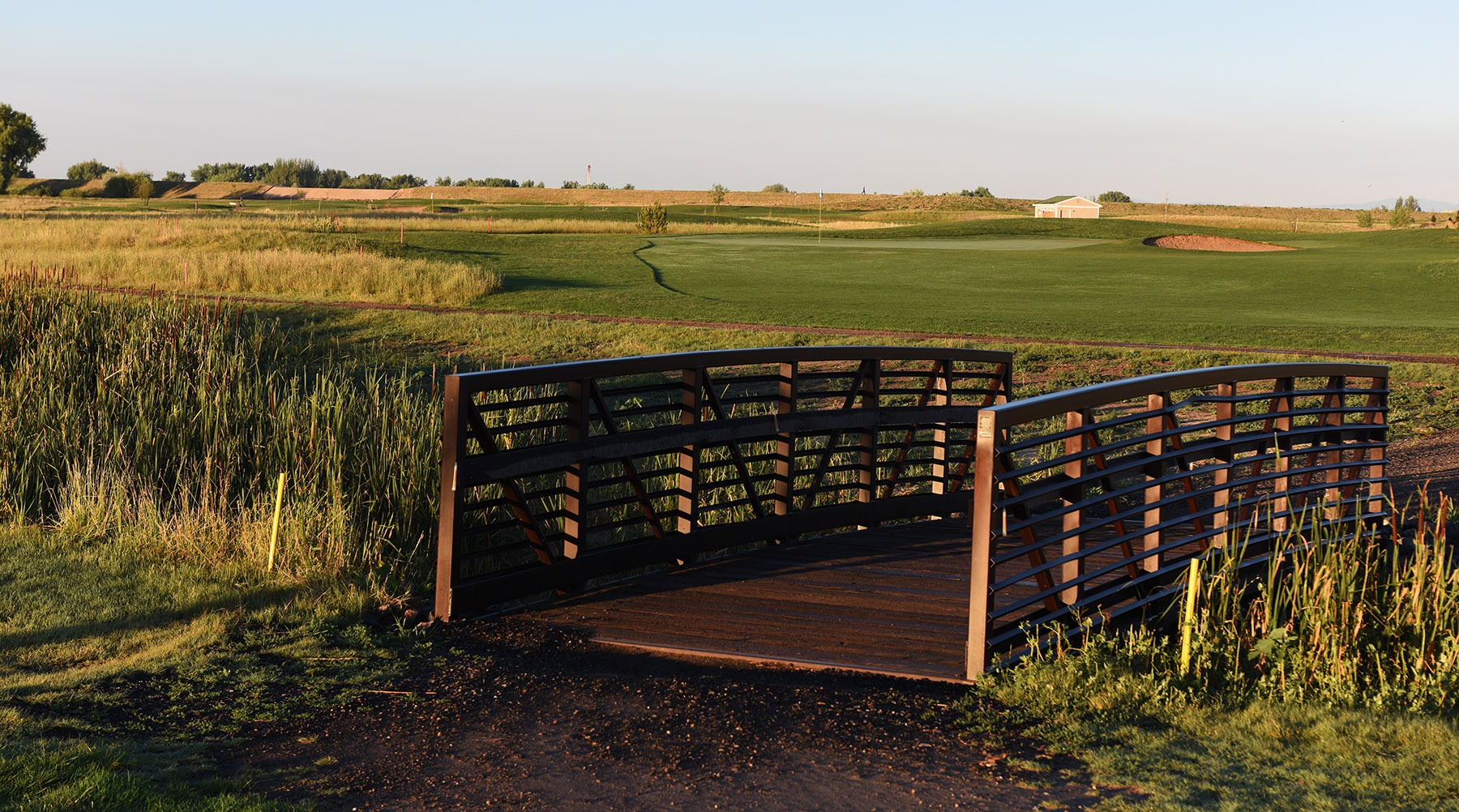 A wooden bridge over tall grass and reeds, leading to a green field under a clear sky.