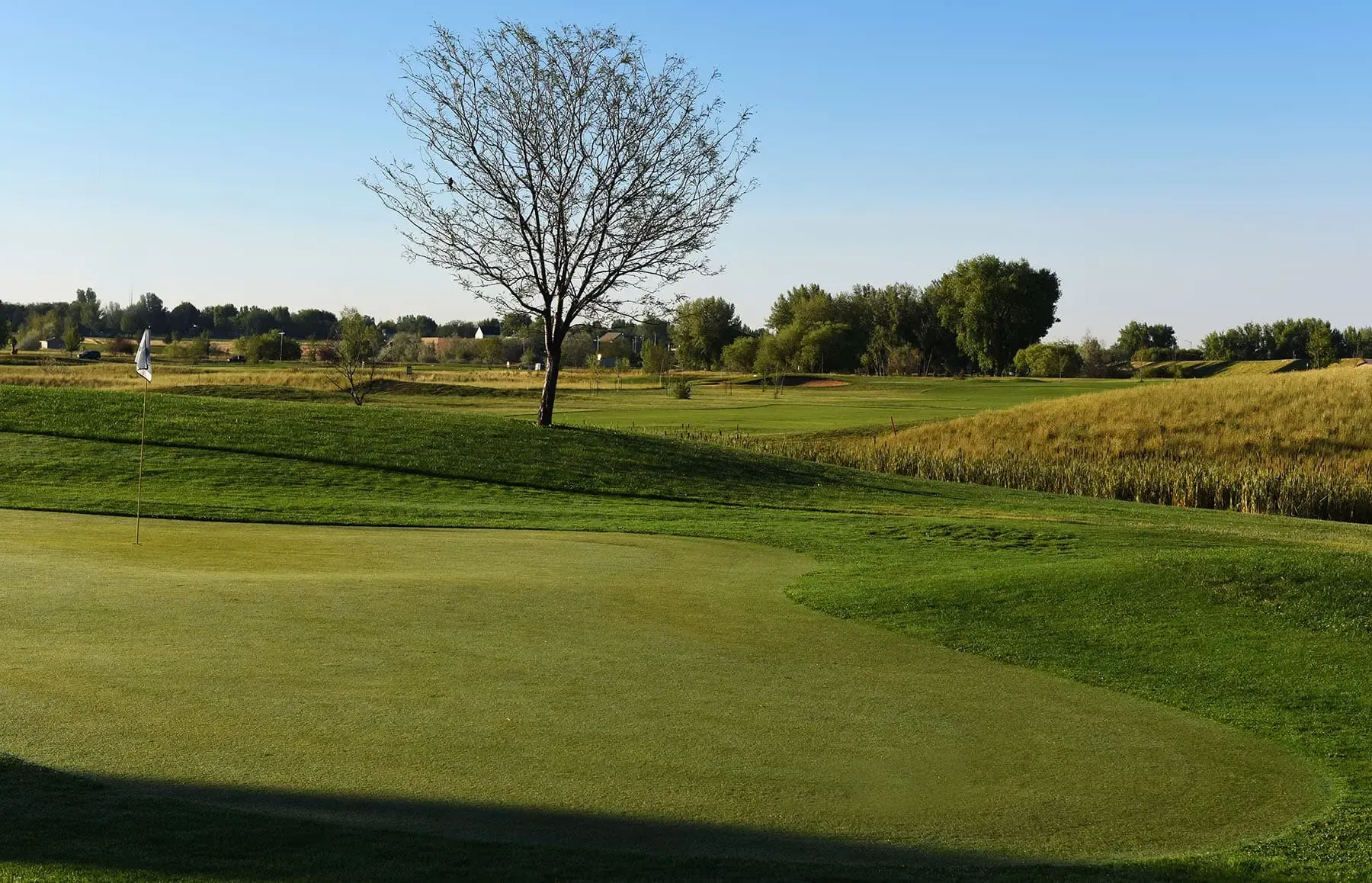 A serene golf course landscape featuring a green, a lone tree, and distant hills under a clear blue sky.